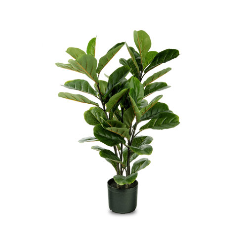 Naturae Decor Faux Fiddle Leaf Fig Plant in Pot & Reviews Wayfair
